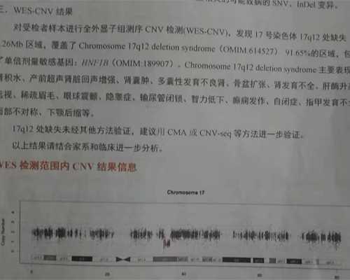 恒健海外试管费用全解析,试管婴儿机构恒健实力评测