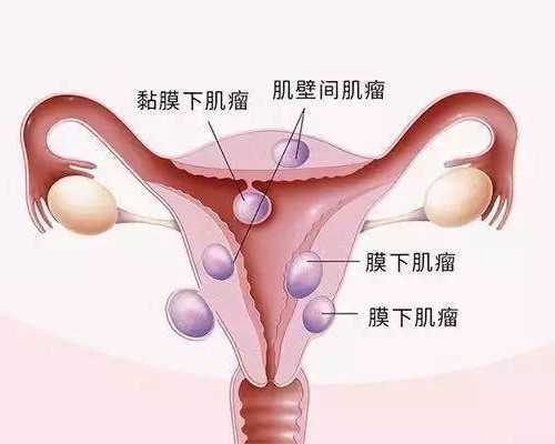 济南供卵哪里可以,济南齐鲁医院做试管多少钱,济南齐鲁医院打眼多少钱