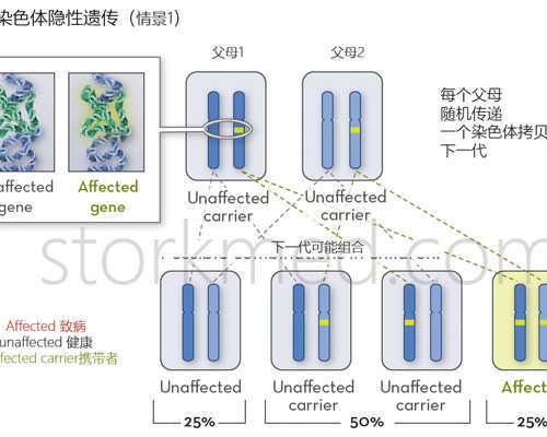 济南靠谱供卵代生 济南红十字医院试管婴儿是怎么回事？想做就做？ ‘早孕彩