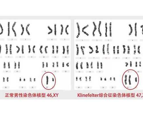 成功率最高的助孕中心是哪家?助孕机构名字推荐